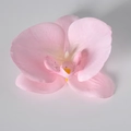 Testa di orchidea Phalaenopsis artificiale rosa chiaro per decorazioni nuziali fai da te - Seta Rosa Chiaro (Grande)