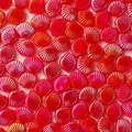 Iridescent red shell-shaped ABS imitation pearl beads for DIY jewelry making - 100Pcs Per Pack / Red