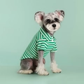 Classic green and white striped dog polo shirt with collar for small pets - Fine Green Stripe