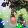 Close-up of a lit Christmas forest gnome pendant hanging on a snowy pine branch - Grey Hat Stripe