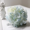 Close-up of a blue and white vintage hydrangea flower head on an open book page - Pale Blue
