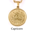 18K gold plated Capricorn zodiac coin necklace made of durable titanium steel - Capricorn / Gold