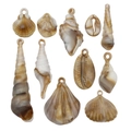 Set di 10 ciondoli a conchiglia naturale in marrone e bianco per creare gioielli - Conchiglia in Acrilico 11 Stili 2 Pezzi Ciascuno-SN545