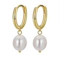Elegant gold S925 sterling silver hoop earrings with round white freshwater pearls - GPE50-14K Classic Gold Pearl Hoop Earrings / Gold
