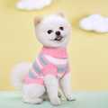 Pink and green striped dog knit sweater with ribbed turtleneck for small pets - S / Pink Stripe