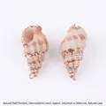 Natural shell pendants with electroplated gold edges, 2pcs set, size 14-41mm - Brown Patch Style (BTA144-12)