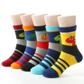 Five pairs of kids' cotton socks with colorful dinosaur patterns and striped designs - 3-5 Years (13-15cm) / Dinosaur Triple-Bar Set