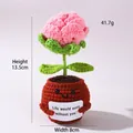 Handmade crochet pink carnation flower in brown pot with positive message card - Positive Potted-Deep Pink Rose