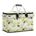 Folding Insulated Picnic Basket Cooler Bag Portable Outdoor Camping Thermal Food Storage - Green Leaves (Upgraded with Frame) 40*23*20cm