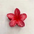 8cm Watermelon Red Standard