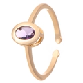 Adjustable golden ring featuring an oval purple zircon stone in a minimalist design - KC Gold Purple Oval