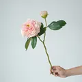 Rozeachtige crème zijden kunstmatige pioenroos met één bloem en één knop 49cm lang - Totale lengte 49cm (1 bloem 1 knop) / Roze