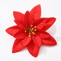 Detail of red velvet poinsettia petals with yellow-green stamens for Xmas decor - Red