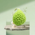 Bright green honeycomb bath sponge with soft porous texture and white hanging rope - Matcha Green