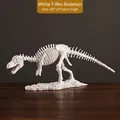 Modèle de squelette de Tyrannosaurus Rex blanc réaliste pour décoration de bureau - 40x10x16cm / Blanc