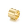 Detailansicht eines 18 mm breiten Rings aus goldenem Titanstahl mit Bürstenfinish - Größe 6 / Gold-Mattierte Oberfläche