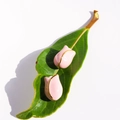 Pink tulip enamel stud earrings with gold trim on fresh green leaves, elegant floral jewelry - Pink Tulip (259)