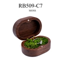 Oval black walnut jewelry box variant with natural moss lining and silver ring display - Single Slot / Solid Lid / No Engraving (Blank) / Moss Filling