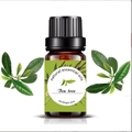 Tea tree natural essential oil in a 10ml amber glass bottle with fresh green leaves - 10ml / Tea Tree