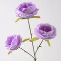 Austin Rose Purple