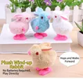 Plüsch-Aufziehhasen in Rosa Blau Weiß und Braun für klassischen Kinderspielspaß - Aufzieh-Plüschhase
