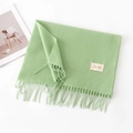 Sciarpa verde chiaro effetto cashmere con nappe e etichetta tessuta minimalista - Senza Etichetta / Verde Erba