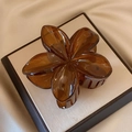 Amber translucent flower hair claw clip with gradient petals on a beige display box - Coffee [8cm Large]