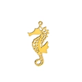 Seahorse Gold
