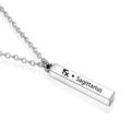 Minimalist Sagittarius zodiac vertical bar necklace in polished stainless steel finish - Silver Sagittarius