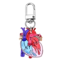 Anatomische hart acryl sleutelhanger met medische labels en metalen roterende sluiting - Stijl 2