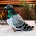 Piccione di peluche grigio blu con sfumature verdi sul collo per bambini - Piccione Verde