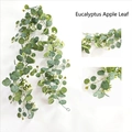 Detail of eucalyptus apple leaf vine with white berries and hanging hook for home decor - Eucalyptus Apple Leaf