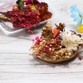 Mix of dried red and white flowers with baby's breath in a gold tray for DIY crafts - Boxed Dried Flower Mix