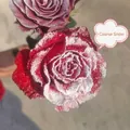 Bouquet de roses rouges avec spray de neige artificielle pour décor floral de Noël - Lot de 4 bouteilles / Neige blanche grossière