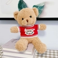 Light brown teddy bear in a red Santa Claus sweater sitting on books home decor - Brown Bear - Red Sweater Santa / 30cm
