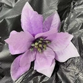 Artificial purple Christmas flower decoration with silver glitter edges and green pistil - Purple