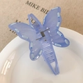 Détail d'une pince à cheveux violette en forme de nœud posée sur une assiette blanche - Bleu Ciel