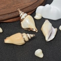 Natural seashell pendants with gold plated edges for DIY jewelry making on dark background - No.42 (Beige Pattern Shell - Gold Edging)
