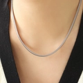 Chique zilveren titanium stalen platte slangenketting gedragen aan de nek voor dames - P1345 - Stalen Halsketting - 41+6cm