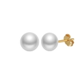 Classic white freshwater pearl earrings with S925 sterling silver gold plated studs - 5.5-6mm Pearl/14K Gold Plated
