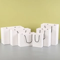 Detailed set of six premium white paper gift bags in various sizes with black rope handles - Plain White / 15*8*21 Vertical