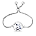 Gatto Bianco e Blu (07)