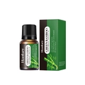 Huile essentielle de bambou vert 10ml pour humidificateurs et diffuseurs - Bambou / 10ml