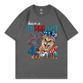 Dark grey short sleeve t-shirt with American Independence Day cat graphic and letter print - Dark Gray