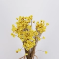 Dried yellow star flower bouquet for DIY floral arrangements and crafts decor - Yellow