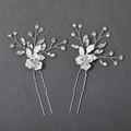 Elegantes Paar silberne Braut-Haarspangen mit Blumen, Kristallen und Blätter-Details - Silberne Haarnadel
