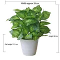 Artificial Pothos plant in white decorative pot, 30cm height with detailed green leaves - Large Pot + Green Perilla Leaf