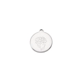 Detailed view of silver stainless steel round pendant with engraved carnation flower - January - Carnation