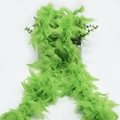 Fruit Green