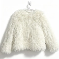 Détail d'un manteau en fausse fourrure blanche à poils longs avec col rond élégant - S / Blanc